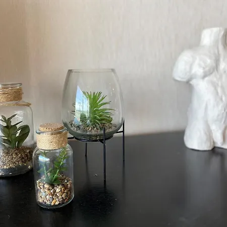 Retreat Apartman Nieuwpoort